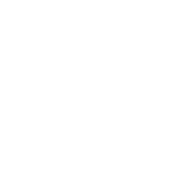 Basketball icon