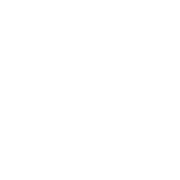 Dodgeball icon