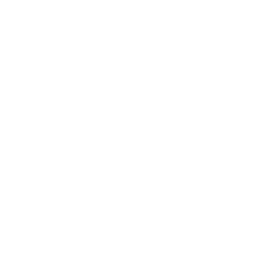 Touchdowns icon