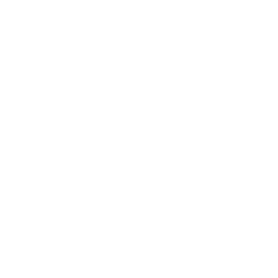 Points icon