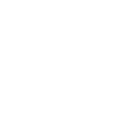 Handball icon