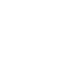 Rugby icon