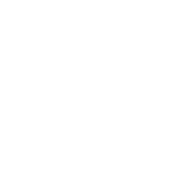 Volleyball icon